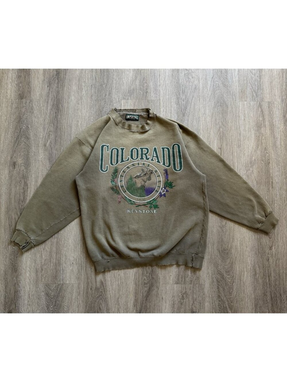Rare Vintage 90s American Eagle Colorado Keystone Faded Thrashed Crewneck Art
